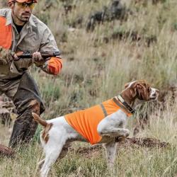 Gilet Orange Sécurité Chien