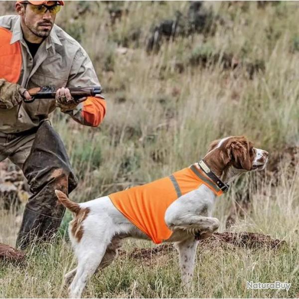 Gilet Orange Scurit Chien