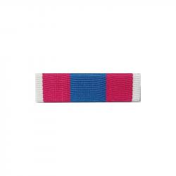Barrette dixmude Défense Nationale Argent - Autre