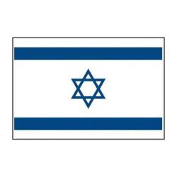 Drapeau Mil-Tec Israël - Autre