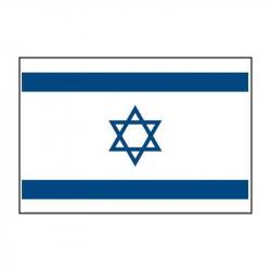 Drapeau Mil-Tec Israël - Autre