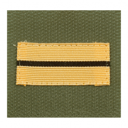 Gilet de poitrine Ares ADT haute visibilité - Autre / Lieutenant