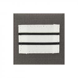 Grade de poitrine Armée de Terre - Argent / Capitaine