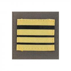 Grade de poitrine Armée de Terre - Or / Commandant