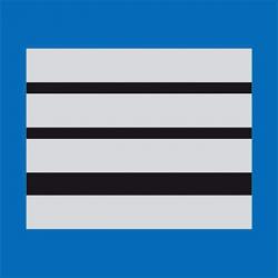 Grade Police Municipale - Bleu / Directeur