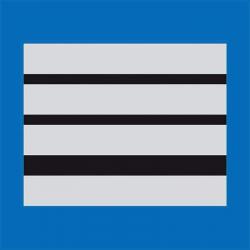 Grade Police Municipale - Bleu / Directeur