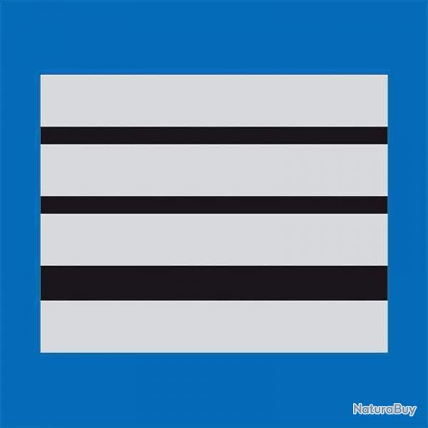 Grade Police Municipale - Bleu / Directeur
