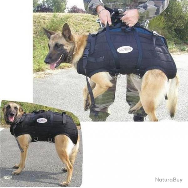Harnais pour chien Morin Hlitreuillage Pro - Noir / T2