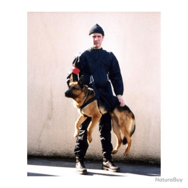 Harnais pour chien Morin Portage Intervention - Noir / T1