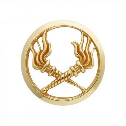 Insigne de béret Or Service des Essences - Or