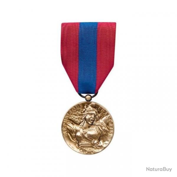 Mdaille Dfense Nationale Bronze - Autre