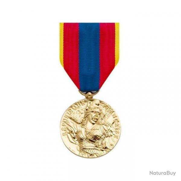 Mdaille Dfense Nationale Or - Autre