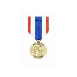 Médaille protection militaire du Territoire - Autre