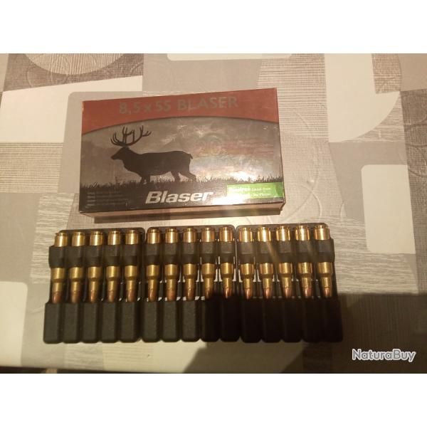 Munitions 8.5x55 Blaser