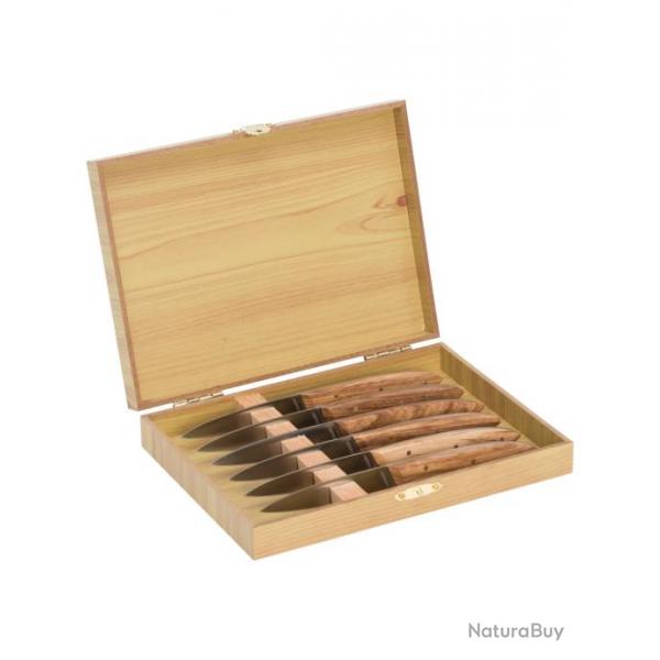 Set couteaux de tabe (6 pieces)