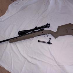 Remington 700 cal 243w avec chassis Magpul