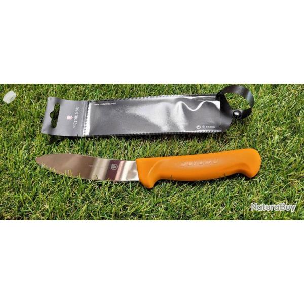 Victorinox 5.8429.13 Swibo Couteau rigide  dpouiller 13 cm