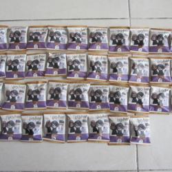 Lot de 38 figurines Harry Potter Wizzis/SuperU
