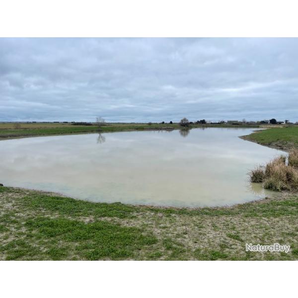 Marais de chasse Saint Gervais (85) - 4,5 hectares