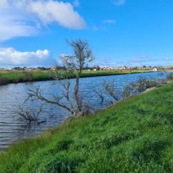 Terrain de plus de 2 hectares - Marais Saint Hilaire de Riez (85270)