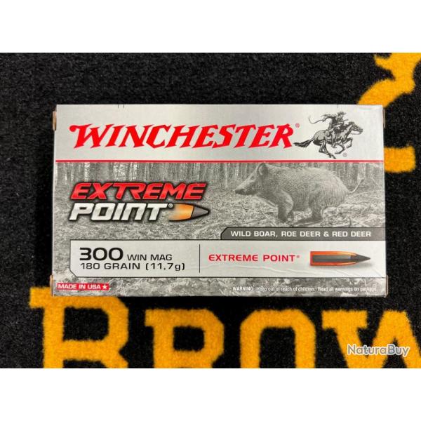 Winchester Extreme Point 300 win mag 150 grs