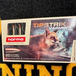 Norma TIPSTRIKE Varmint 243 win 76 grs (x20)