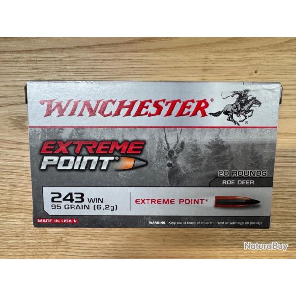 Winchester Extreme Point 243 win 95 grs (x20)