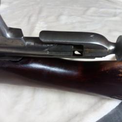 Mosin nagant 91/30