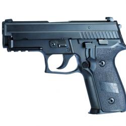 Sig Sauer P229 SA Navy Pistol .40 Blowback (Swiss Ams)