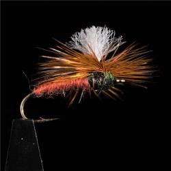 MOUCHE DC 3 H12 PAR 3