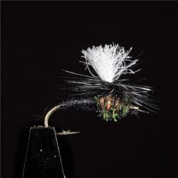 MOUCHE DC 5 H16 PAR 3