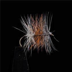 MOUCHE TRICOLORE CLAIRE H16 PAR 3