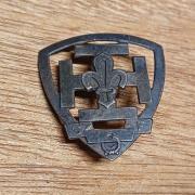 Bg111921 - Insigne Badge Scouts De France - UK