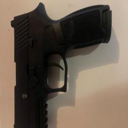 Sig Sauer P320 PAK