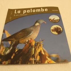 La palombe et ses chasses