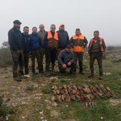 CAZA DE PERDIZ EN ESPAÑA PROVINCIA DE ZARAGOZA,