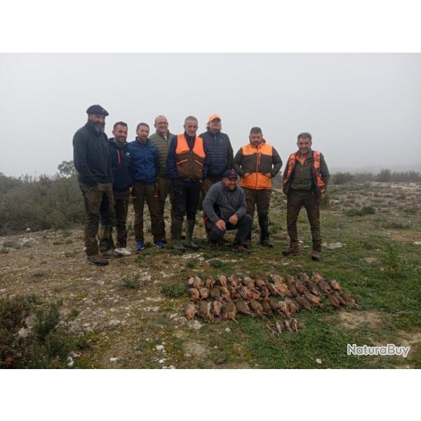 CAZA DE PERDIZ EN ESPAA PROVINCIA DE ZARAGOZA,