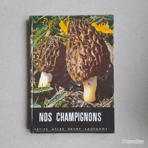 Nos champignons