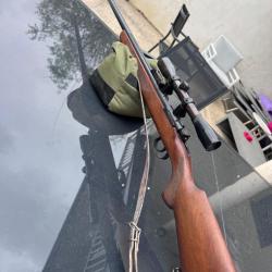 Mauser es 350 b  22 lr