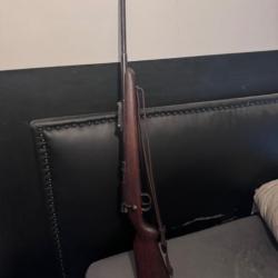 Mauser dsm 34 22 lr 2