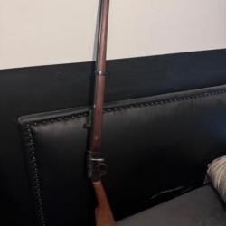 Buffalo junior 22 lr