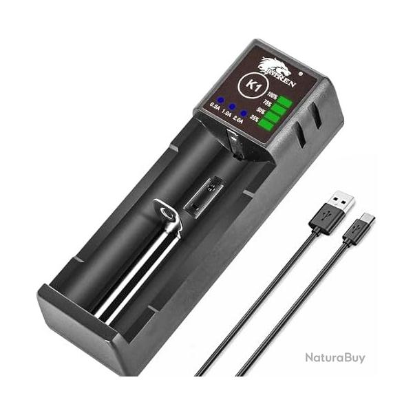 Chargeur de Piles, 2A Rapide Universel Chargeur de Batterie pour 1.2V Ni-MH/Ni-CD AA AAA C et 3.7V L