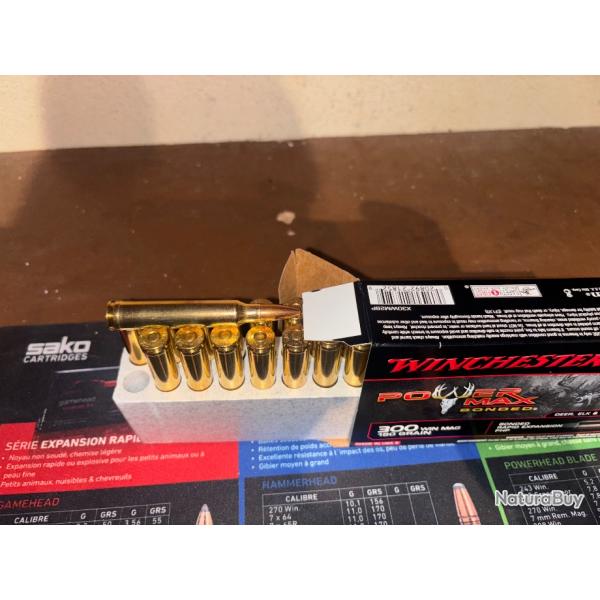 10 botes winchester 300 win mag