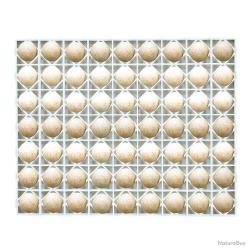 Panier d'incubation pour 63 oeuf de canne/dinde TR63