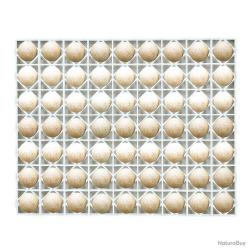 Panier d'incubation pour 63 oeuf de canne/dinde TR63