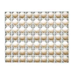 Panier d'incubation pour 63 oeuf de canne/dinde TR63