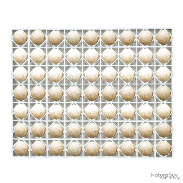 Panier d'incubation pour 63 oeuf de canne/dinde TR63