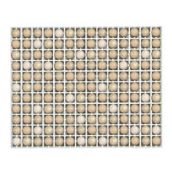 Panier d'incubation 154 oeufs de perdrix TR154