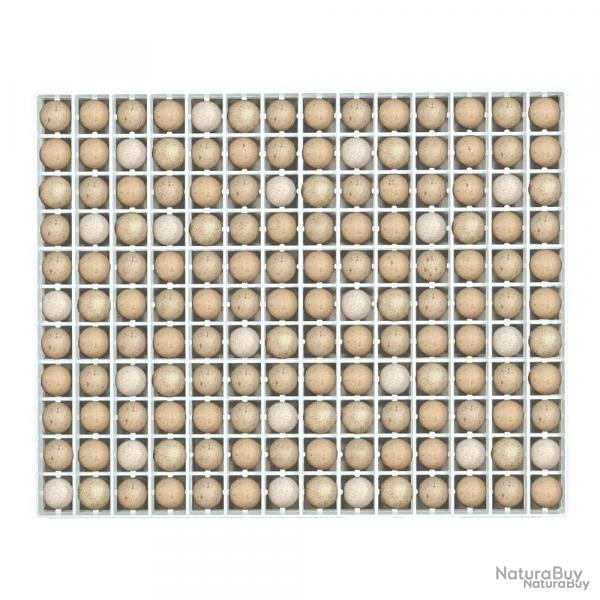 Panier d'incubation oeufs de perdrix TR154