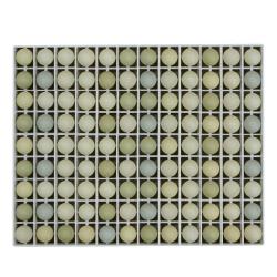 Panier d'incubation oeufs de faisan TR108